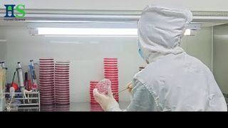 Série de membranas de casca de ovo ELASEM®: a solução de matéria-prima para saúde e beleza das articulações