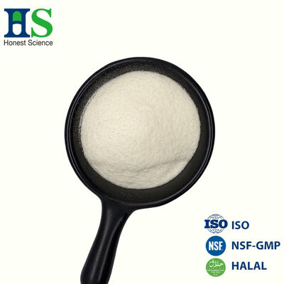 Bulk Hydrolyzed Bovine Collagen Peptide Manufacturer & Halal Certified Supplier