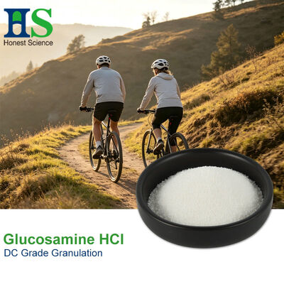 Pó de D-Glucosamina HCl de grau farmacêutico | HS Nutra